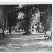 Cedar Walk on Ranch. Hugo Reid Adobe appears to be directly at the end of this walk.  Note bell from San Gabriel Mission hanging in shelter made for it.  Framed photos are of Baldwin's three hotels: Tallac at Lake Tahoe, Baldwin Hotel & Theater, San Francisco, and the Oakwood, Arcadia.