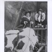 Clara Baldwin Stocker on the left standing in a wagon holding the reins of a large cow.  An unidentified woman is standing next to her.  Handwriting on the bottom of the photo reads, "Coney Island 1914."