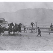 View of racetrack with what appears to be the San Gabriel Mountains in the background.  There are four horses and riders apparently headed for a fall and two men on the track with whips trying to right things.  Numerous people are watching.  There is a large grandstand structure.
