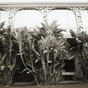 A building at Santa Anita Park with decorative leaves forming the arches and scalloped design over the arches. Photo by Terry Miller.