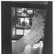 Magnificent entry door with peacock etched into glass at Anoakia.  View out door is across lawn and to the south.  Door may be Tiffany.