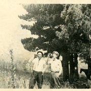 Leo Bertolina (on left) and Jim Newton standing under a clump of pine trees drinking from bottles.  There is a horse standing beyond trees.  Back of card says:"area is just north of Foothill near First Avenue."