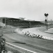 View of Santa Anita Race Track and Grandstand looking west.  There are twelve horses and riders racing and the grandstand appears to be nearly full. (Date is disputed to be after 1955, not 1950, per researcher race track historian Leonard Wynne, who says the inner track part, known as the "Turf Course" was put in during 1955. The inner track part is not where the horses are seen running.)