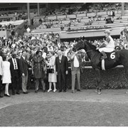 Group in winner's circle at Santa Anita Race Track with horse and rider. It is a group from PLEASC (Public Library Executives Assoc. of Calif) meeting held at Arcadia Public Library.  Lunch for the group was at Race Track.  None of the people are identified.