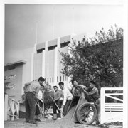 Groups of six Japanese men seen hauling sand in a large wheel barrow and shoveling it.  Santa Anita Race Track Club House is behind them. Santa Anita Assembly Center for the Japanese.