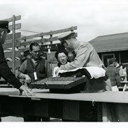 A Japanese couple watch as their luggage is inspected at a table at the Santa Anita Assembly Center for the Japanese. Man is wearing a sweater-vest with name tag attached.  On the side of table closest to camera is an officer in dark uniform.  Conducting the inspection is an officer in tan uniform.