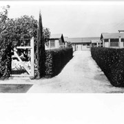 Chicken ranch buildings belonging to Roy H. Pike.  Shows neat hedges along drive leading to buildings.