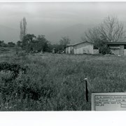 View toward San Gabriel Mountains across grass covered field probably on east side of Santa Anita Wash.  A small house and outbuildings can be seen with large bare tree behind.