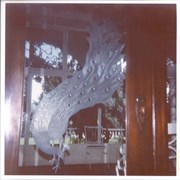 Portion of front door at Anoakia, showing peacock etched in glass.
