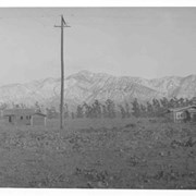 View from back yard of Ramuz family home on Arcadia Ave. looking north toward San Gabriel Mountains. (Later they would build home on South Santa Anita in conjunction with their business, The Arcadia Nursery.) There are two small houses, one on left is still under construction.  Just to left of center is a power pole.  Line of eucalyptus in background apparently was along Huntington Drive.