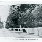 Neatly white washed trunks of trees alongside a wall, with row of trees opposite is seen in this photo.  Caption beneath reads: First Street Entrance To Fairyland Park, Baldwin's Ranch.  This photo is an enlarged view of Photo #1353.