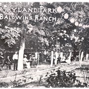 About 18 people are seen seated outdoors at tables under trees decorated with Japanese paper lanterns.  A waiter stands by closest tree.  Printed on photo are words: FAIRYLAND PARK BALDWIN'S RANCH.