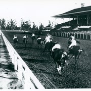 Late afternoon shadows show in this photo of 10 horses and riders competing in a race at Baldwin's original race track.  Grandstand is seen on the right with capacity crowd.  Photo was taken from in the infield.  Trees seen in distance would be along Santa Anita Ave.